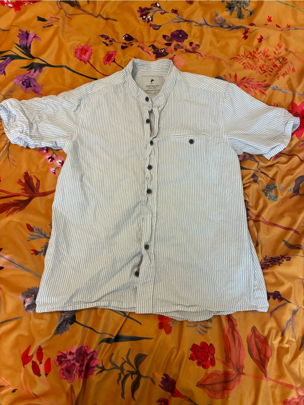 Lee Valley Ireland Striped Button-Up Shirt in Light Blue and White